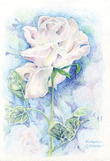"White Rose" — I took a bunch of white silk roses into a class I was teaching one day, and we all had a good time trying to make them look natural, adding backgrounds and suggestions of colour.