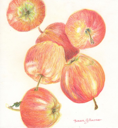 "Falling Apples" — When I teach a coloured pencil workshop, I often go buy a bag of apples and hand one out to everyone. Apples are excellent subjects for learning how to build up colour from light to dark. After my demo, he whole class goes back to their tables and becomes very quiet for a while — silence is the sound of creativity! One class I actually had time to draw my apple several times on the same page.