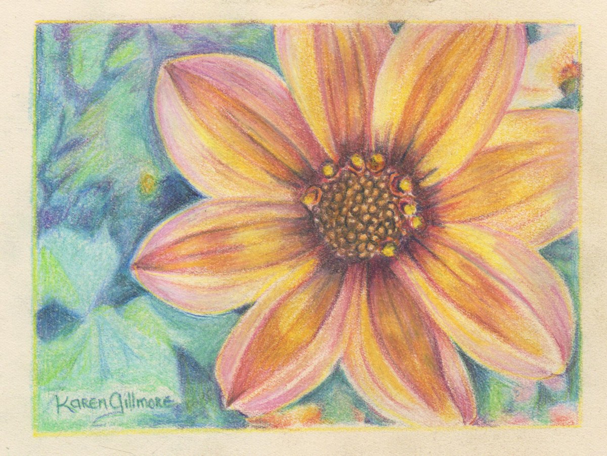 Rainbowcolored Pencil Crayons Sketch Flowers On White Paper Stock