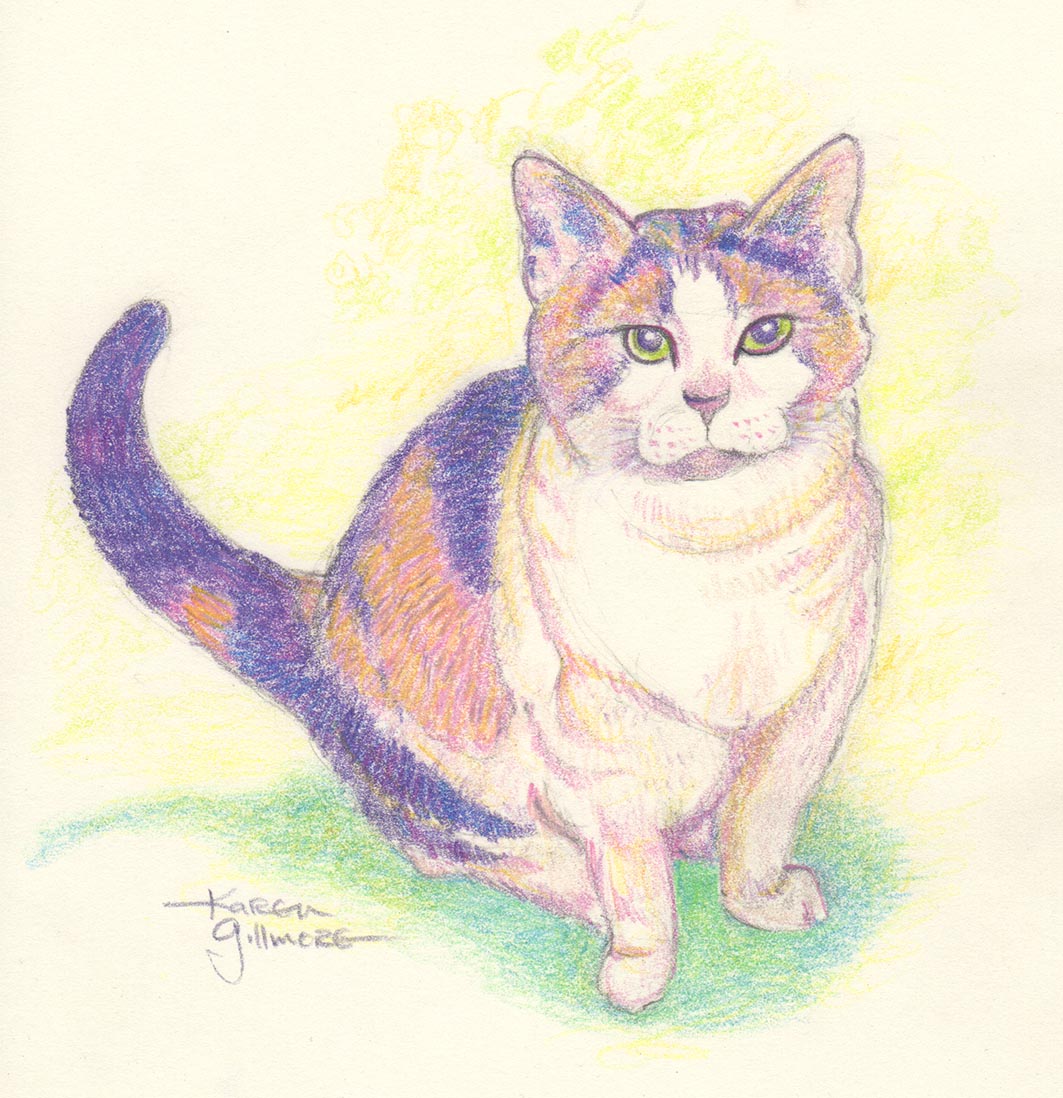 Calico Cat Drawing
