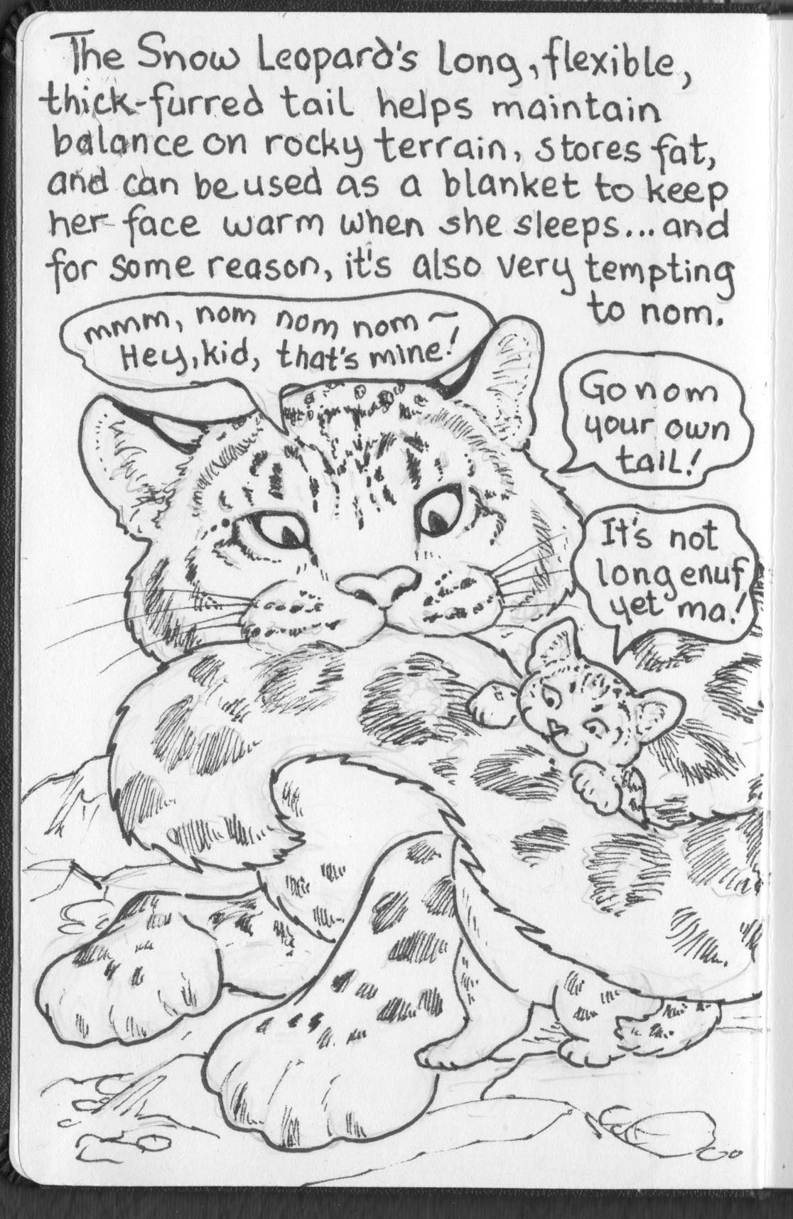 Snow Leopard 1 | Taylor Ramsey Art Doodles